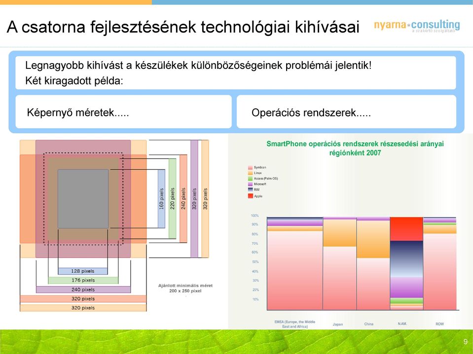 különbözőségeinek problémái jelentik!