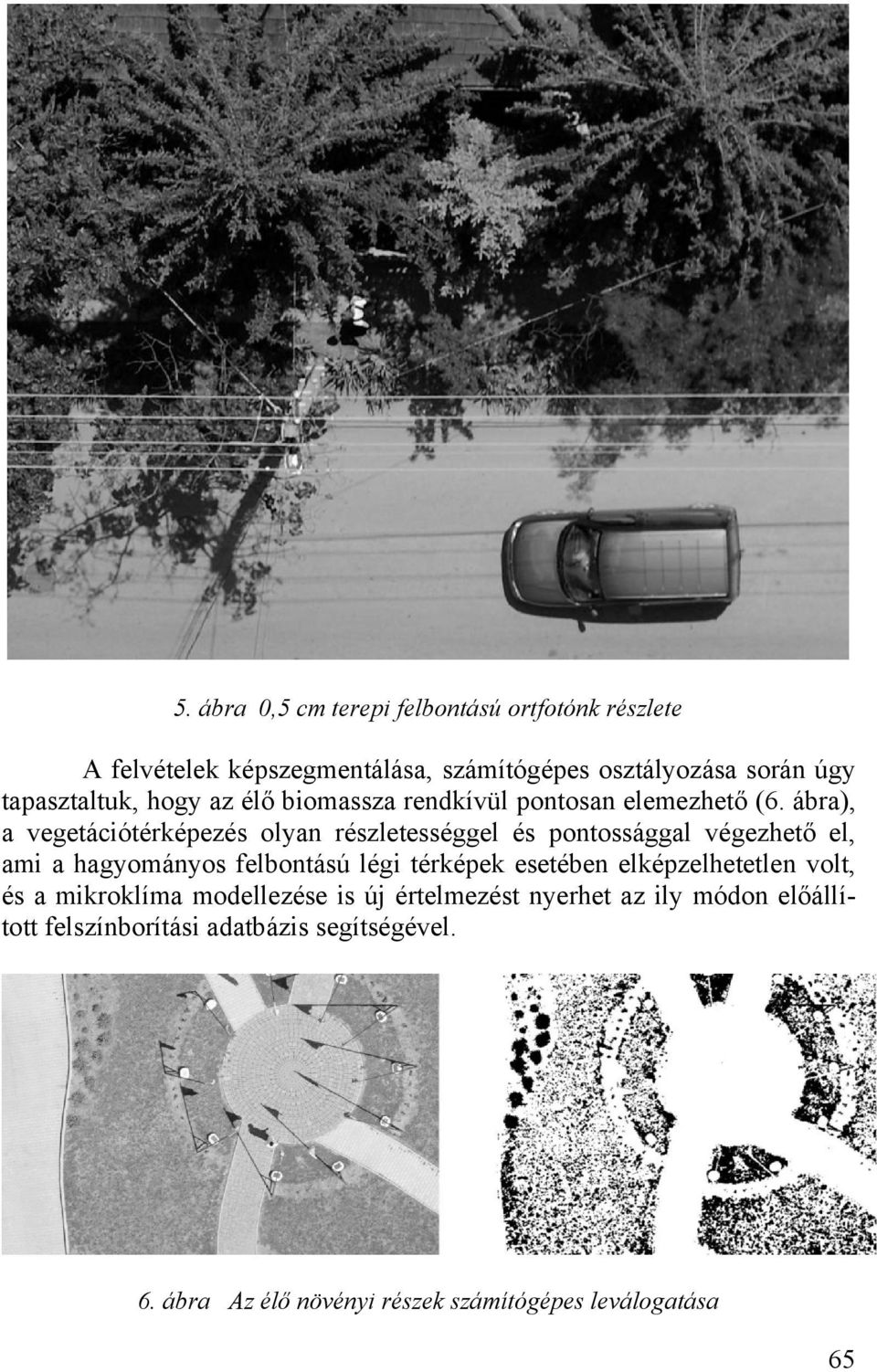 ábra), a vegetációtérképezés olyan részletességgel és pontossággal végezhető el, ami a hagyományos felbontású légi térképek