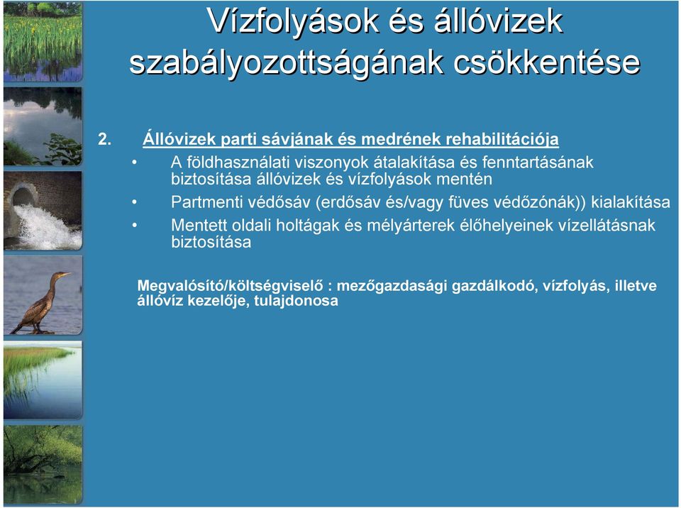 biztosítása állóvizek és vízfolyások mentén Partmenti védősáv (erdősáv és/vagy füves védőzónák)) kialakítása Mentett