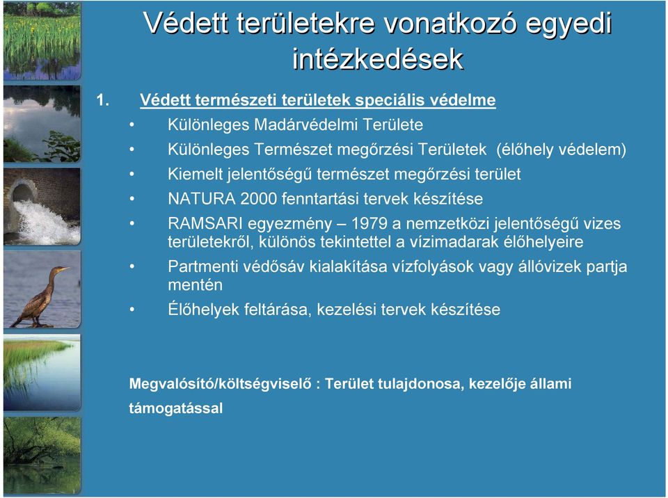 jelentőségű természet megőrzési terület NATURA 2000 fenntartási tervek készítése RAMSARI egyezmény 1979 a nemzetközi jelentőségű vizes területekről,