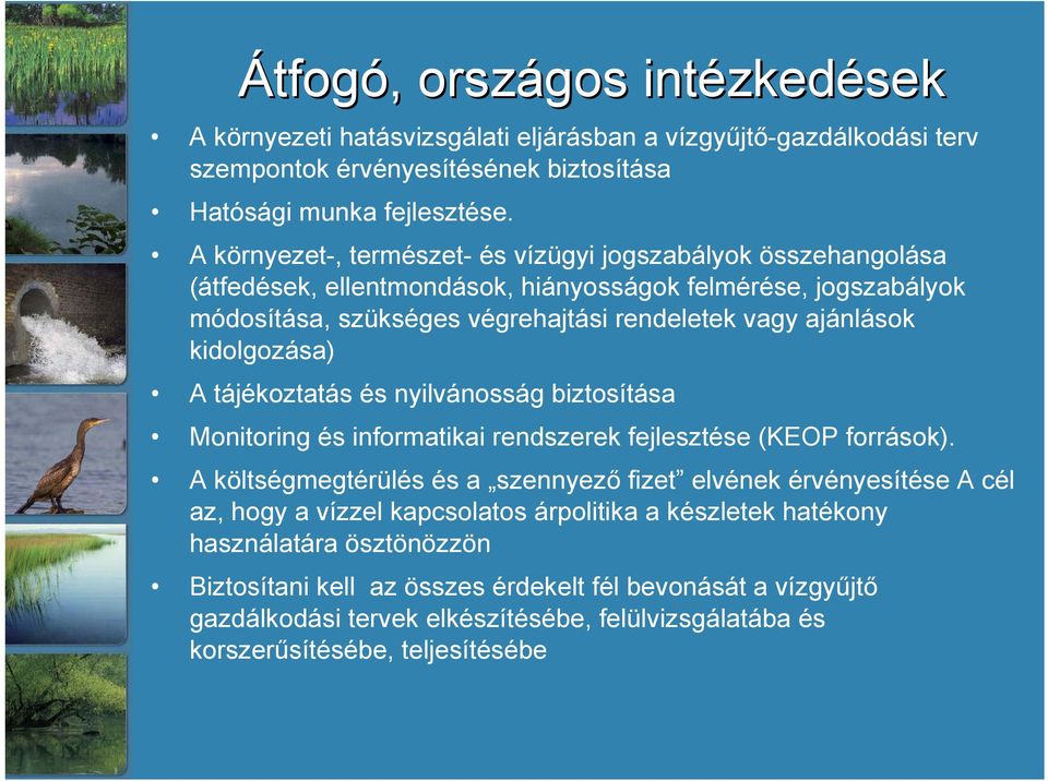 kidolgozása) A tájékoztatás és nyilvánosság biztosítása Monitoring és informatikai rendszerek fejlesztése (KEOP források).