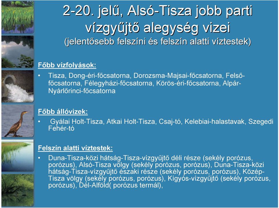 Kelebiai-halastavak, Szegedi Fehér-tó Felszín alatti víztestek: Duna-Tisza-közi hátság-tisza-vízgyűjtő déli része (sekély porózus, porózus), Alsó-Tisza völgy (sekély porózus,