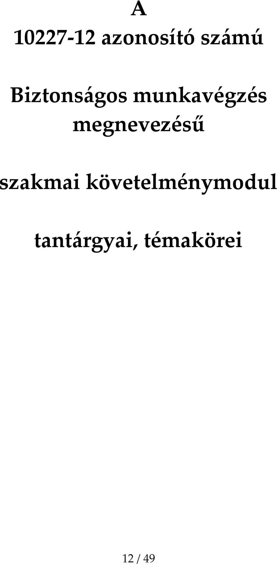 megnevezésű szakmai