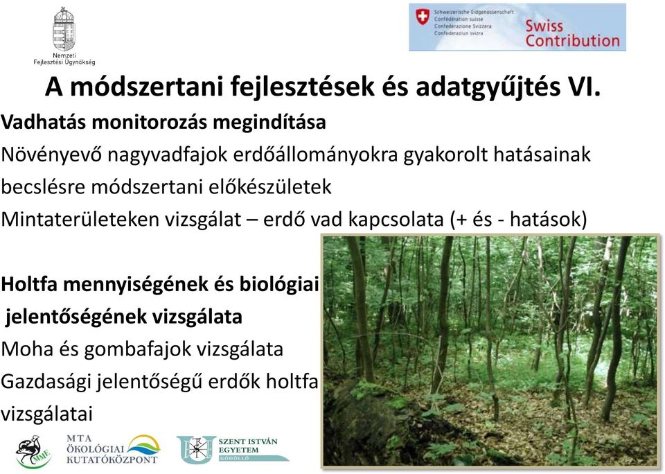 becslésre módszertani előkészületek Mintaterületeken vizsgálat erdő vad kapcsolata (+ és -