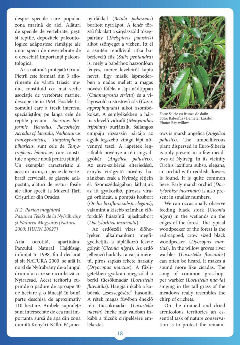 Aria naturală protejată Gruiul Pietrii este formată din 3 aflorimente de vârstă triasic mediu, constituid cea mai veche asociație de vertebrate marine, descoperite în 1964.