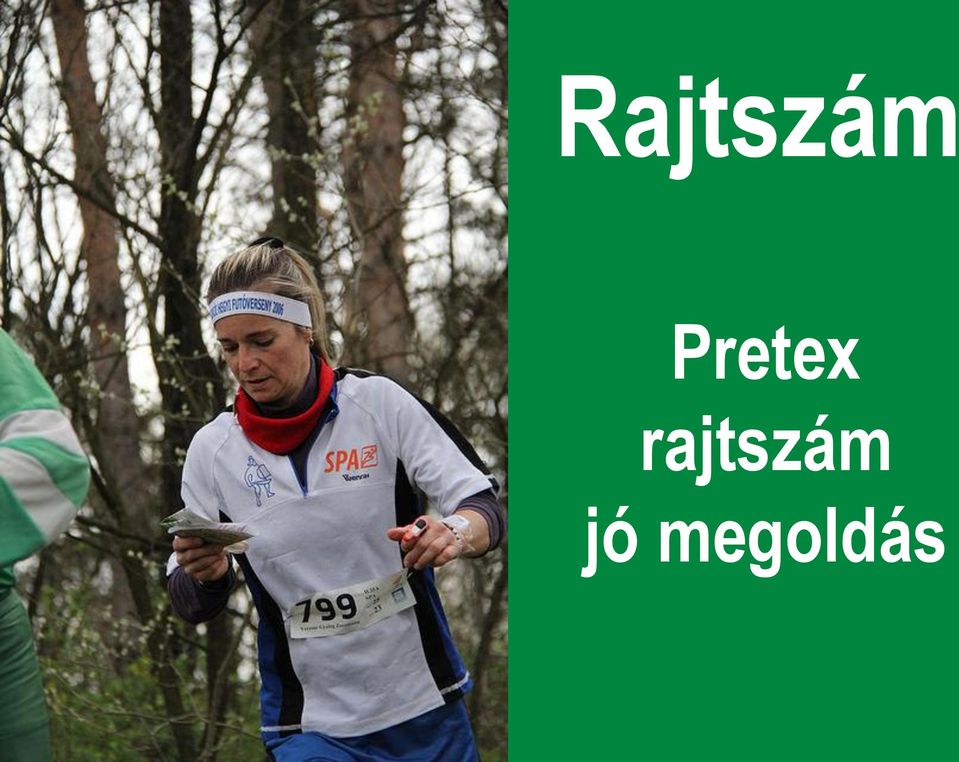 rajtszám