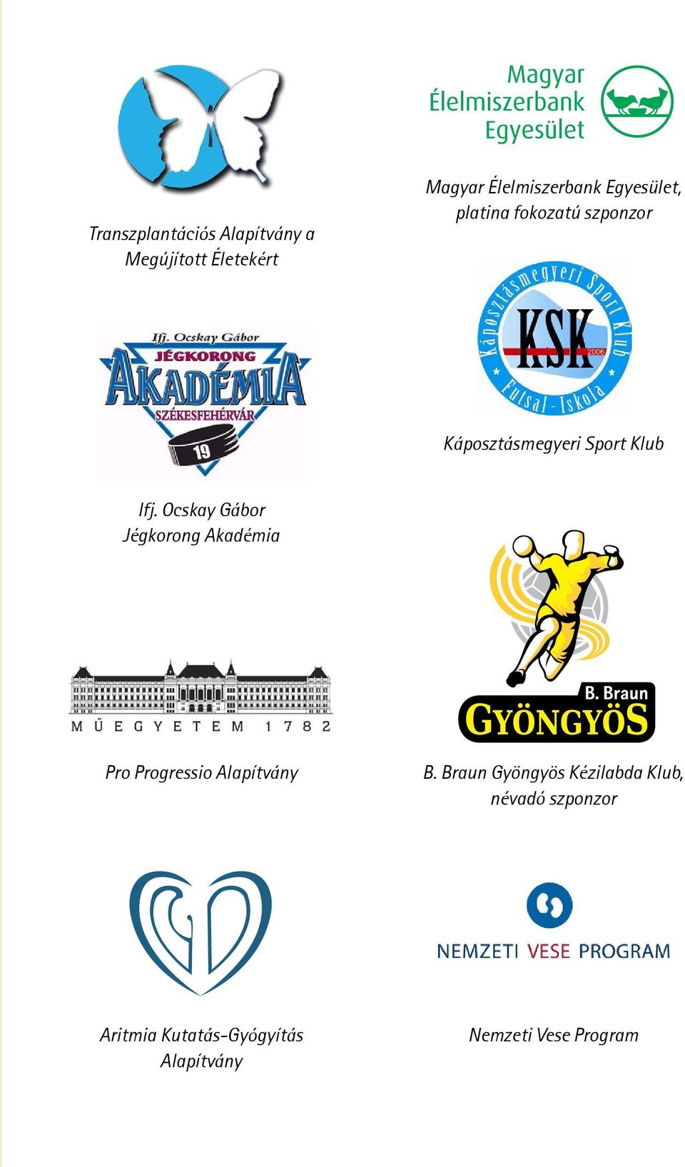 Ocskay Gábor Jégkorong Akadémia Pro Progressio Alapítvány B.