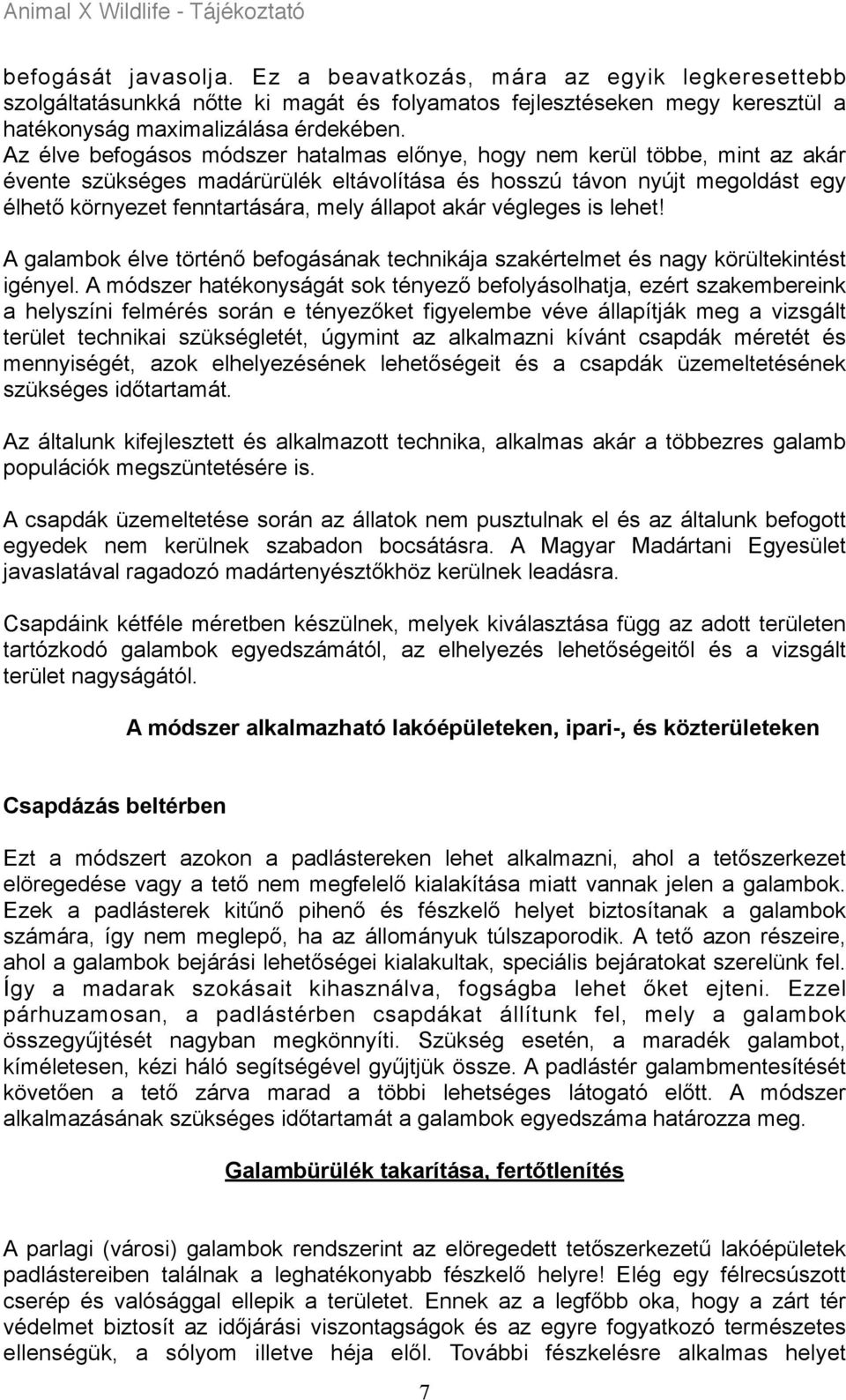 állapot akár végleges is lehet A galambok élve történő befogásának technikája szakértelmet és nagy körültekintést igényel.