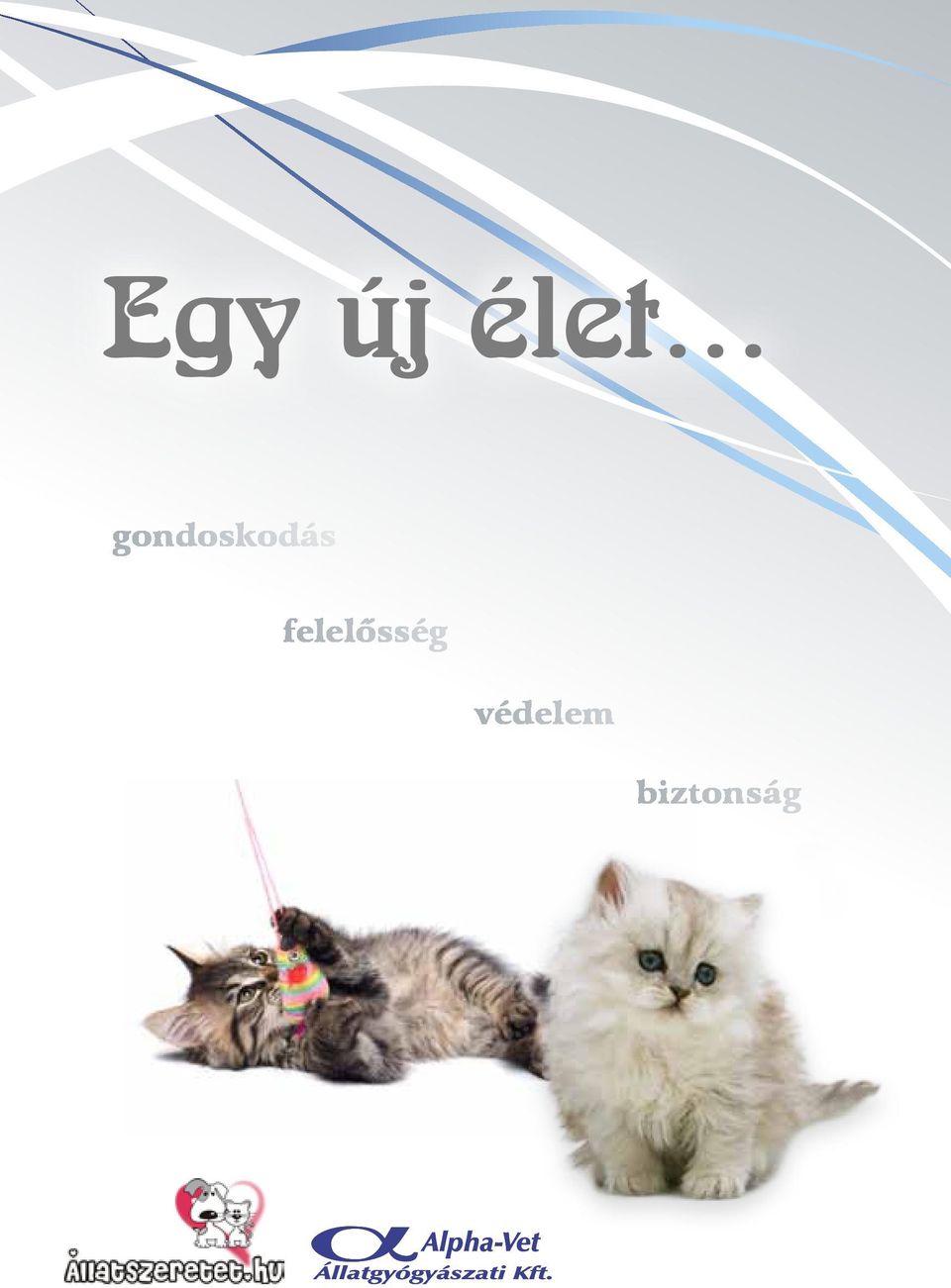 felelősség