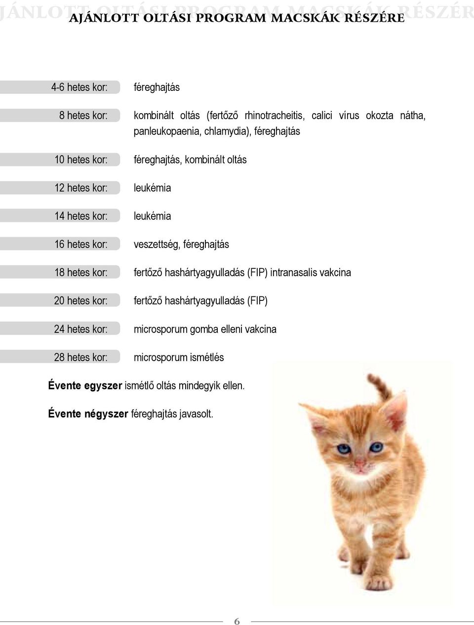 hetes kor: veszettség, féreghajtás 18 hetes kor: fertőző hashártyagyulladás (FIP) intranasalis vakcina 20 hetes kor: fertőző hashártyagyulladás (FIP) 24 hetes