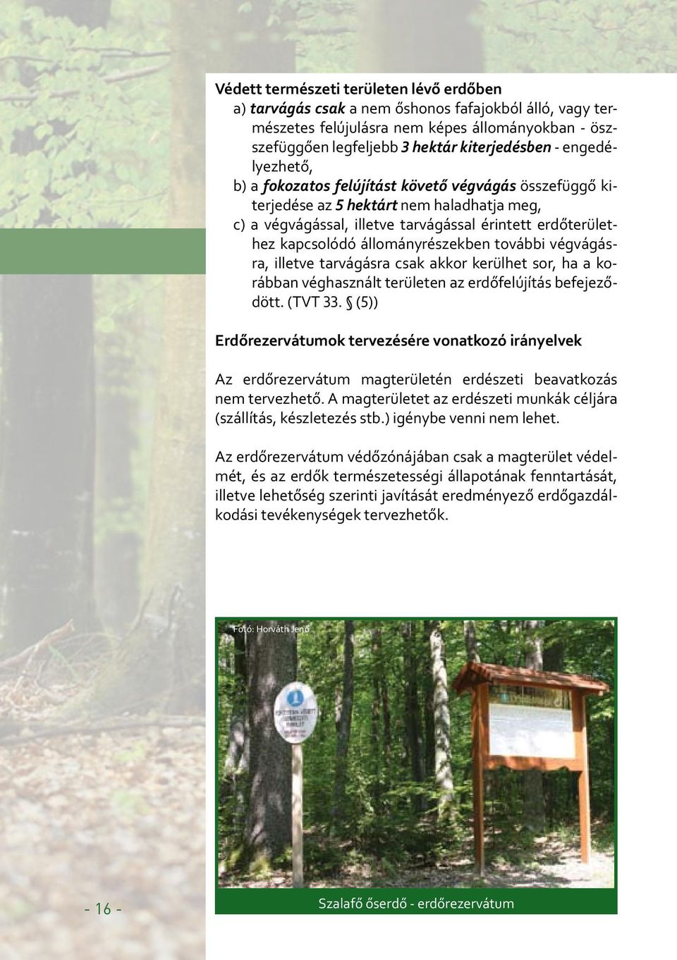 állományrészekben további végvágásra, illetve tarvágásra csak akkor kerülhet sor, ha a korábban véghasznált területen az erdőfelújítás befejeződött. (TVT 33.