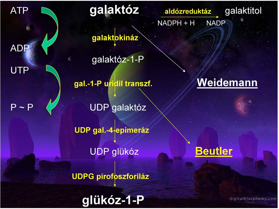 -1-p uridil transzf.