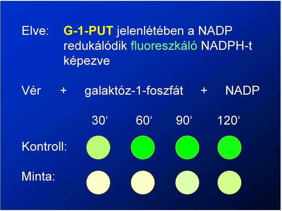 NADPH-t képezve +