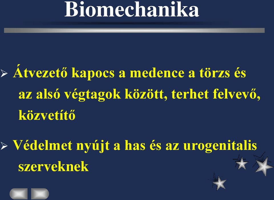között, terhet felvevő, közvetítő