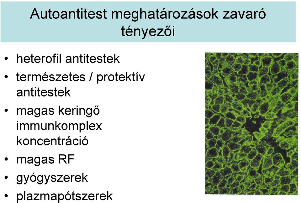 protektív antitestek magas keringő