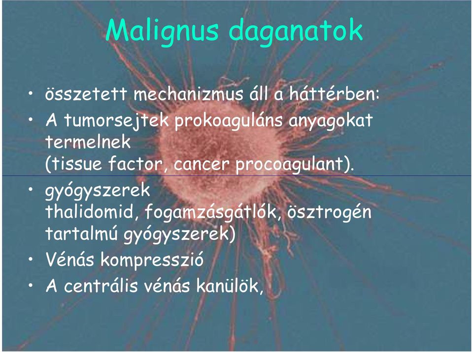 cancer procoagulant).