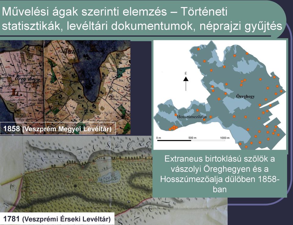 (Veszprém Megyei Levéltár) Extraneus birtoklású szőlők a vászolyi