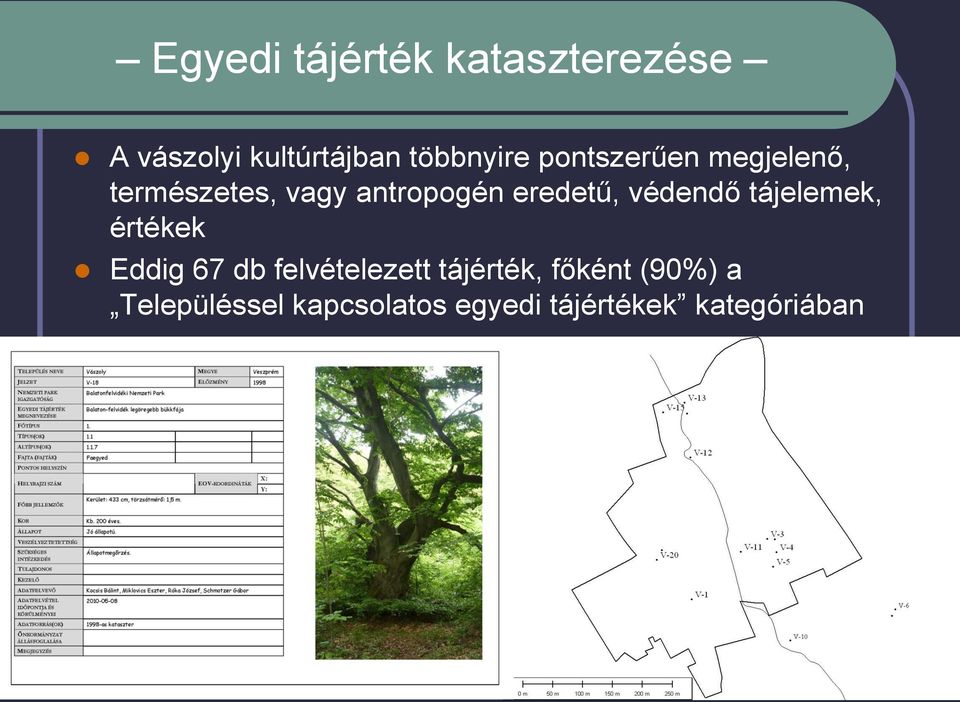 védendő tájelemek, értékek Eddig 67 db felvételezett tájérték,