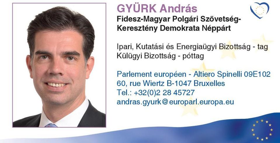 tag Külügyi Bizottság - póttag Parlement européen - Altiero