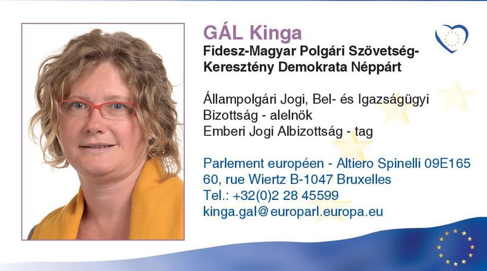 alelnök Emberi Jogi Albizottság - tag Parlement européen -