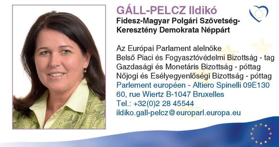 Monetáris Bizottság - póttag N jogi és Esélyegyenl ségi Bizottság - póttag Parlement