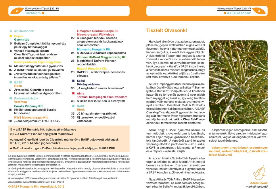 Clearfield repce kezelési útmutató az Agroportálon ok Euralis Kft. 18 Kiváló terméspotenciál Euralis hibridekkel! KWS Magyarország Kft.