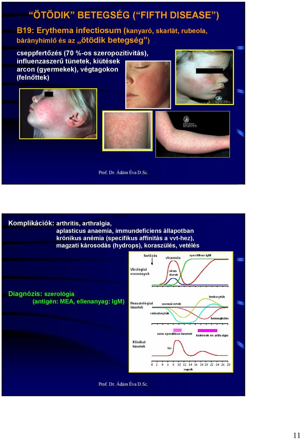 (felnıttek) Komplikációk: arthritis, arthralgia, aplasticus anaemia, immundeficiens állapotban krónikus anémia
