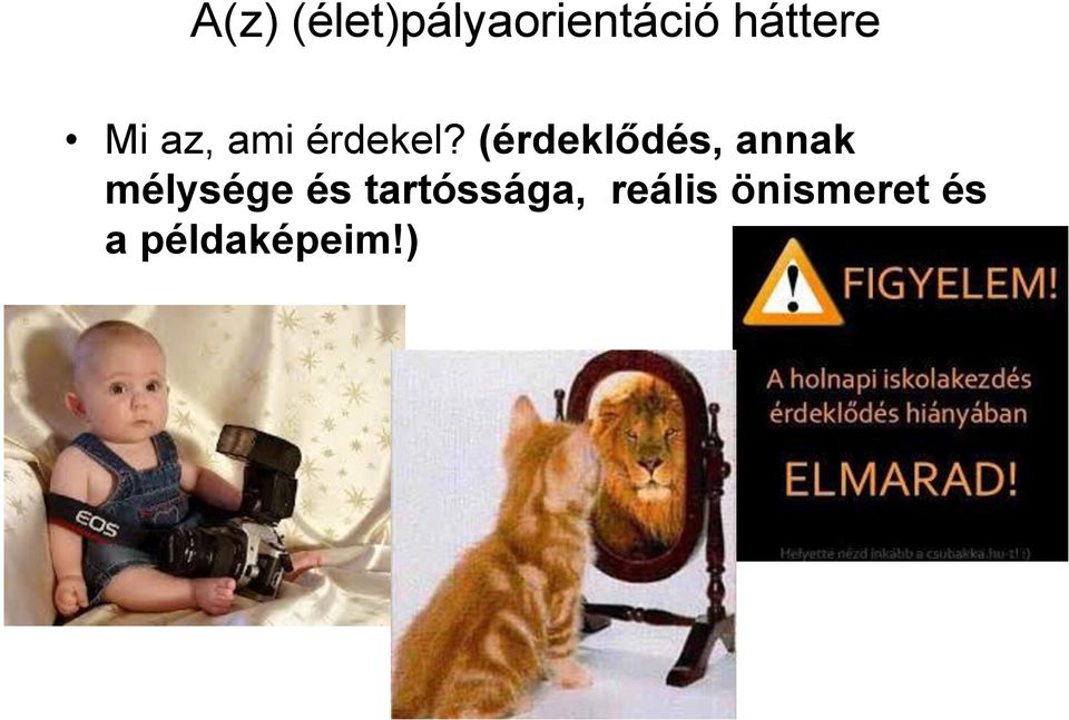 (érdeklődés, annak mélysége és