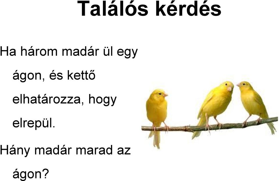 kettő elhatározza, hogy