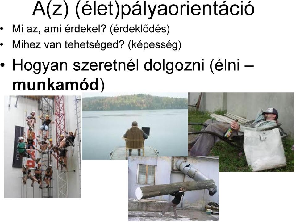 (érdeklődés) Mihez van tehetséged?