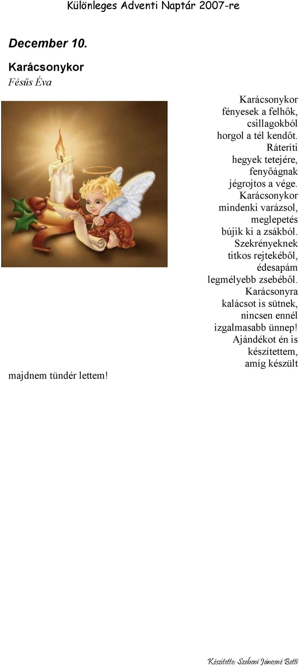 Ráteríti hegyek tetejére, fenyőágnak jégrojtos a vége.