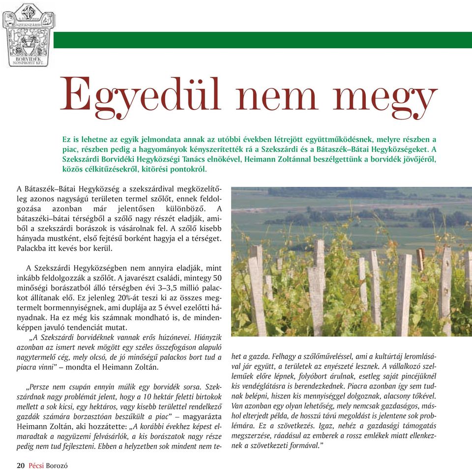 A Bátaszék Bátai Hegyközség a szekszárdival megközelítõleg azonos nagyságú területen termel szõlõt, ennek feldolgozása azonban már jelentõsen különbözõ.
