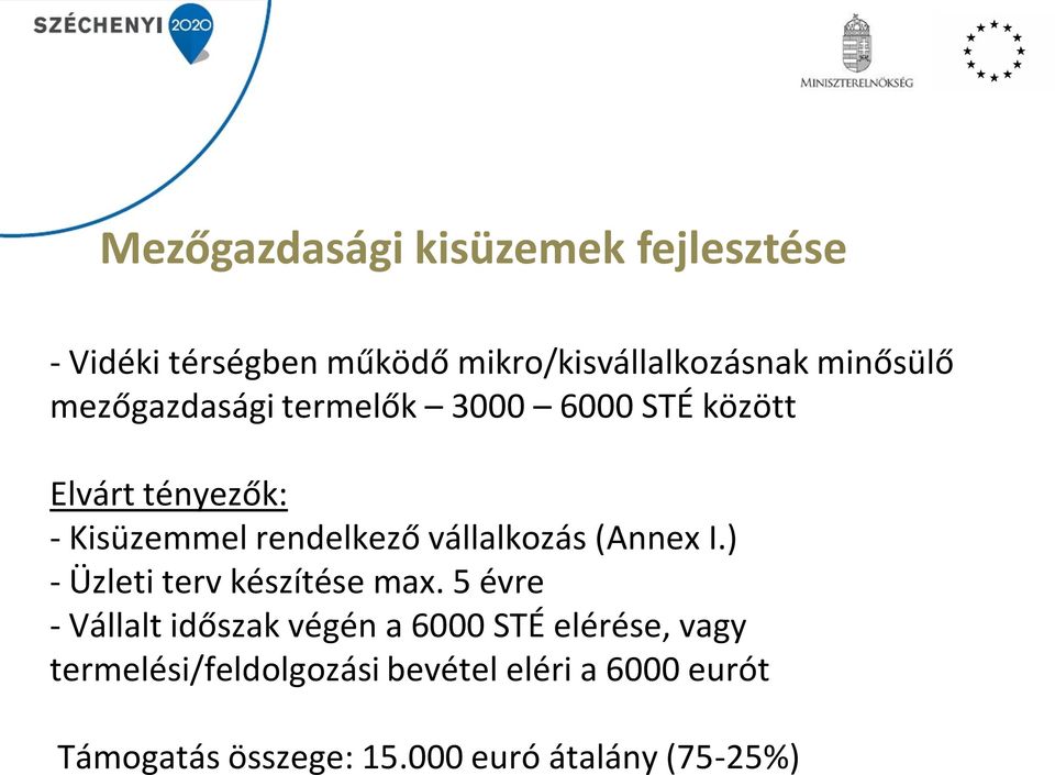 (Annex I.) - Üzleti terv készítése max.