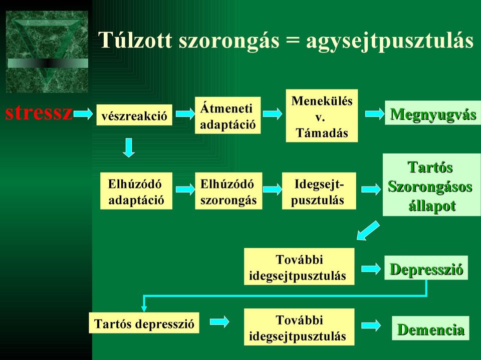 Támadás Megnyugvás Elhúzódó adaptáció Elhúzódó szorongás