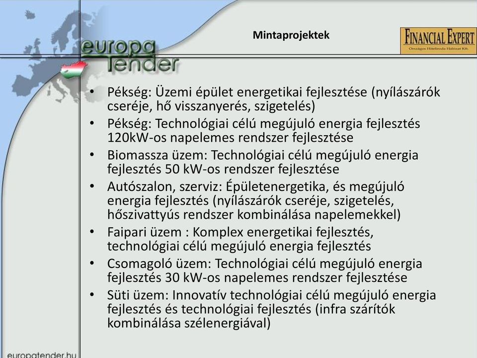 szigetelés, hőszivattyús rendszer kombinálása napelemekkel) Faipari üzem : Komplex energetikai fejlesztés, technológiai célú megújuló energia fejlesztés Csomagoló üzem: Technológiai célú megújuló