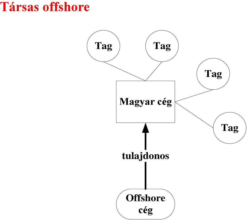 Magyar cég Tag