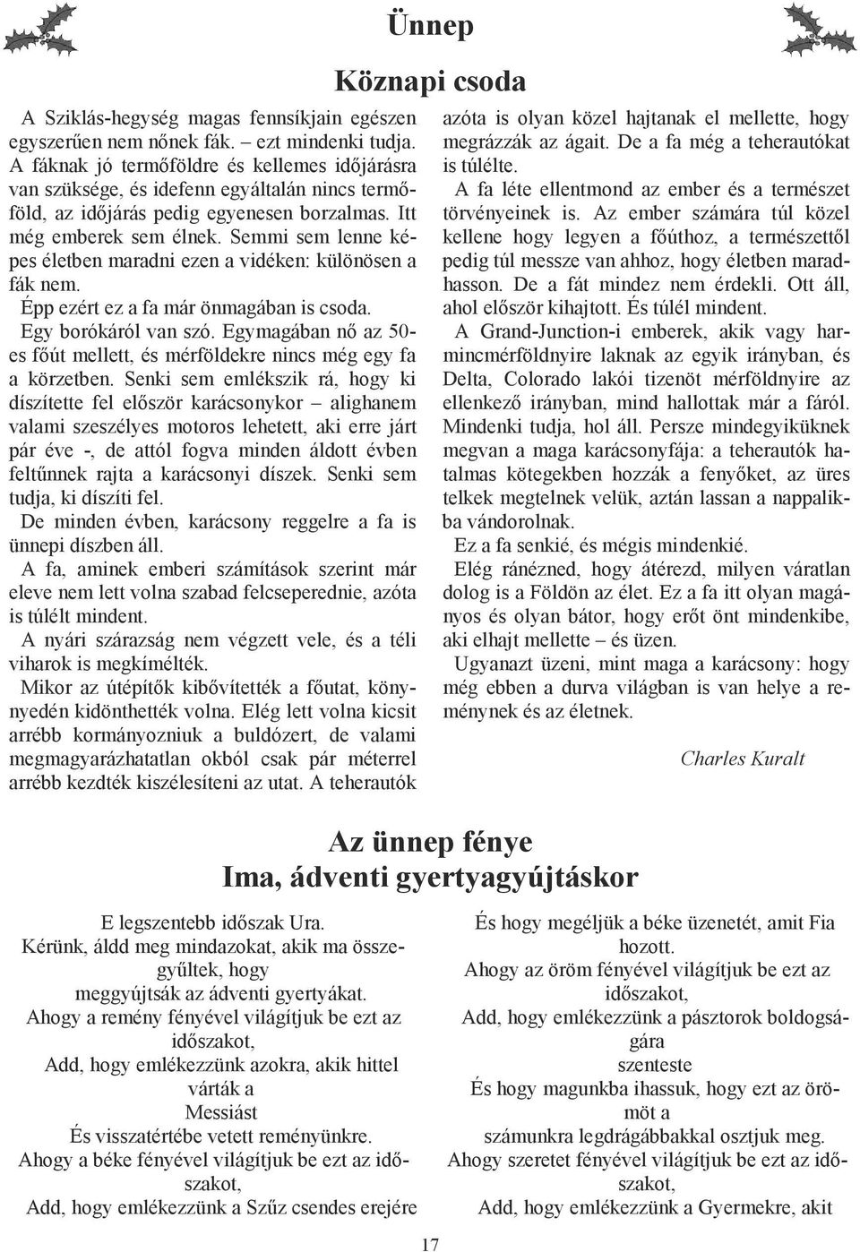 Semmi sem lenne képes életben maradni ezen a vidéken: különösen a fák nem. Épp ezért ez a fa már önmagában is csoda. Egy borókáról van szó.