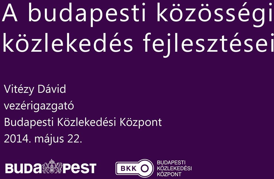 Vitézy Dávid vezérigazgató