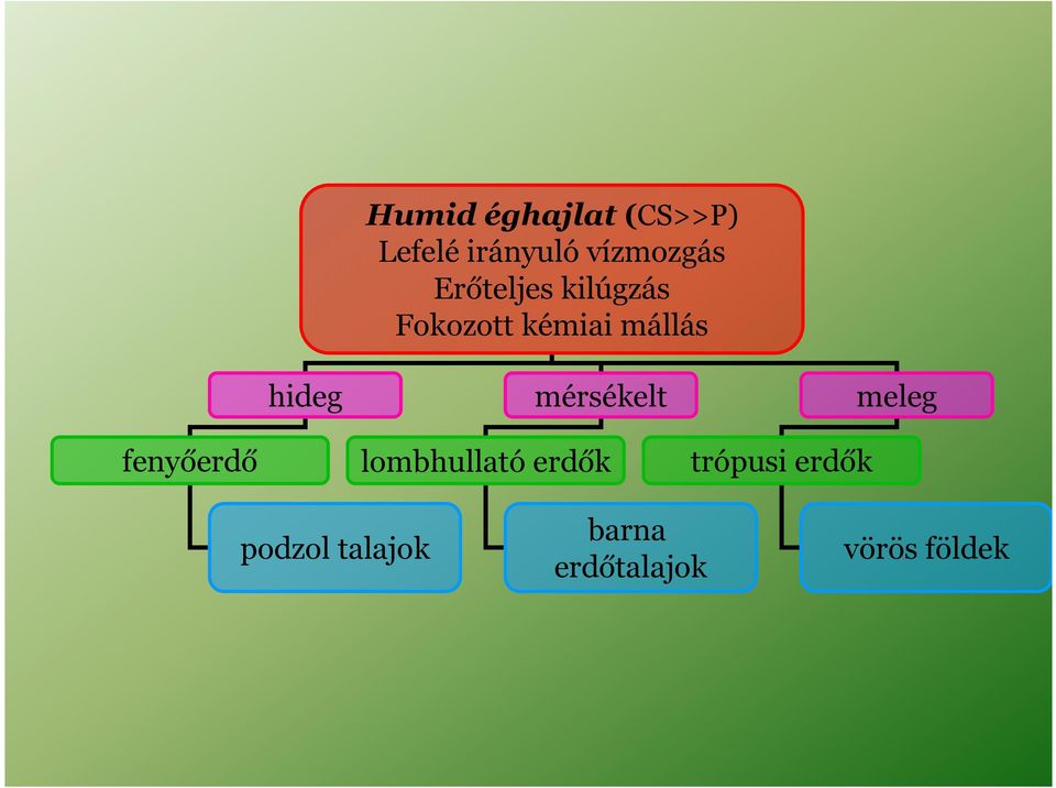 mérsékelt meleg fenyőerdő lombhullató erdők