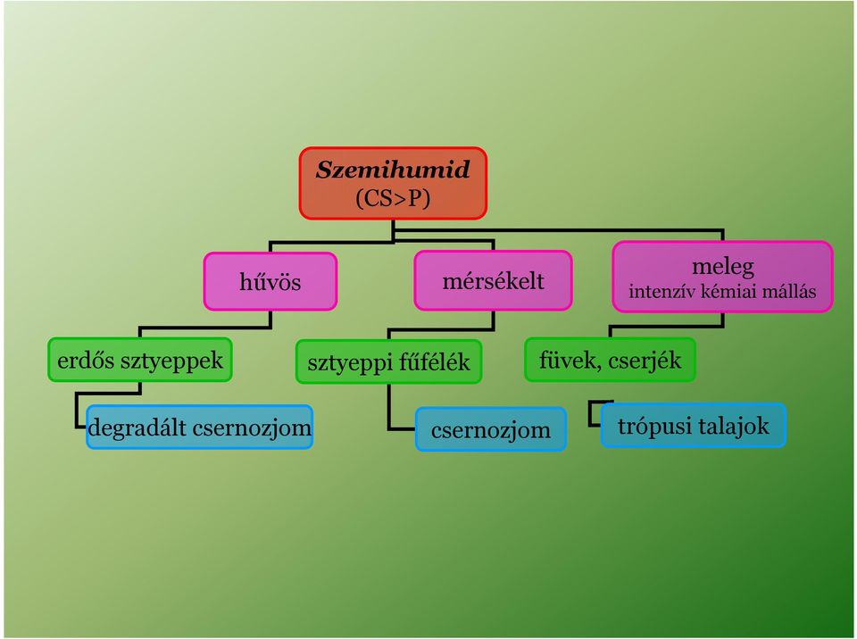 sztyeppi fűfélék füvek, cserjék