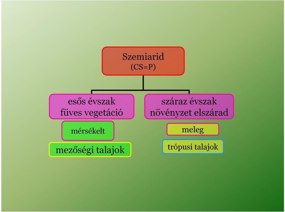 mezőségi talajok száraz évszak