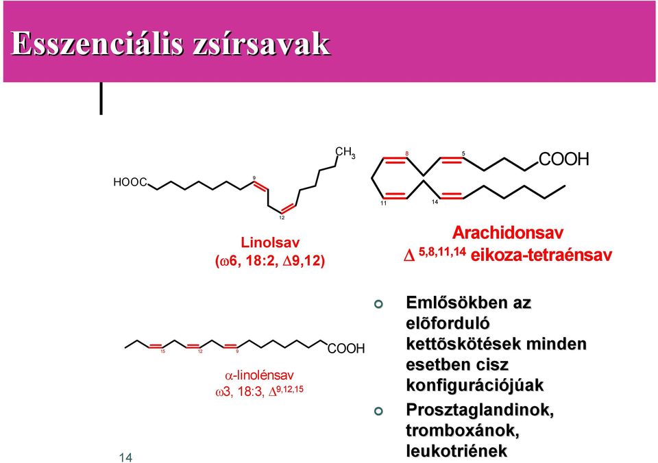 18:3, Δ 9,12,15 Emlősökben az elõforduló kettõskötések sek minden