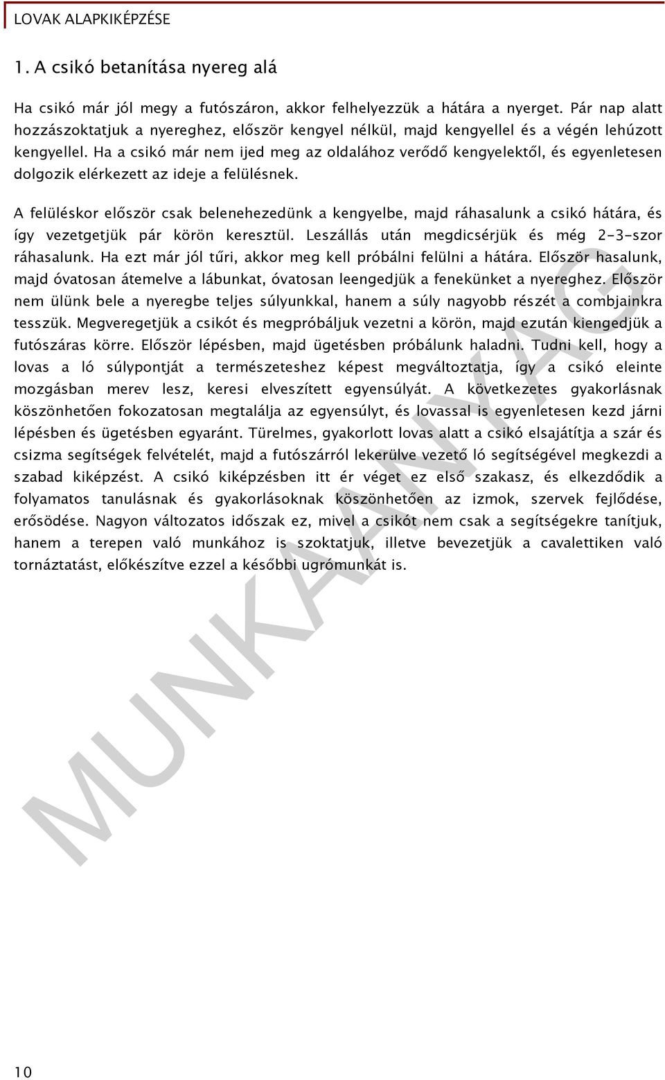 Ha a csikó már nem ijed meg az oldalához verődő kengyelektől, és egyenletesen dolgozik elérkezett az ideje a felülésnek.