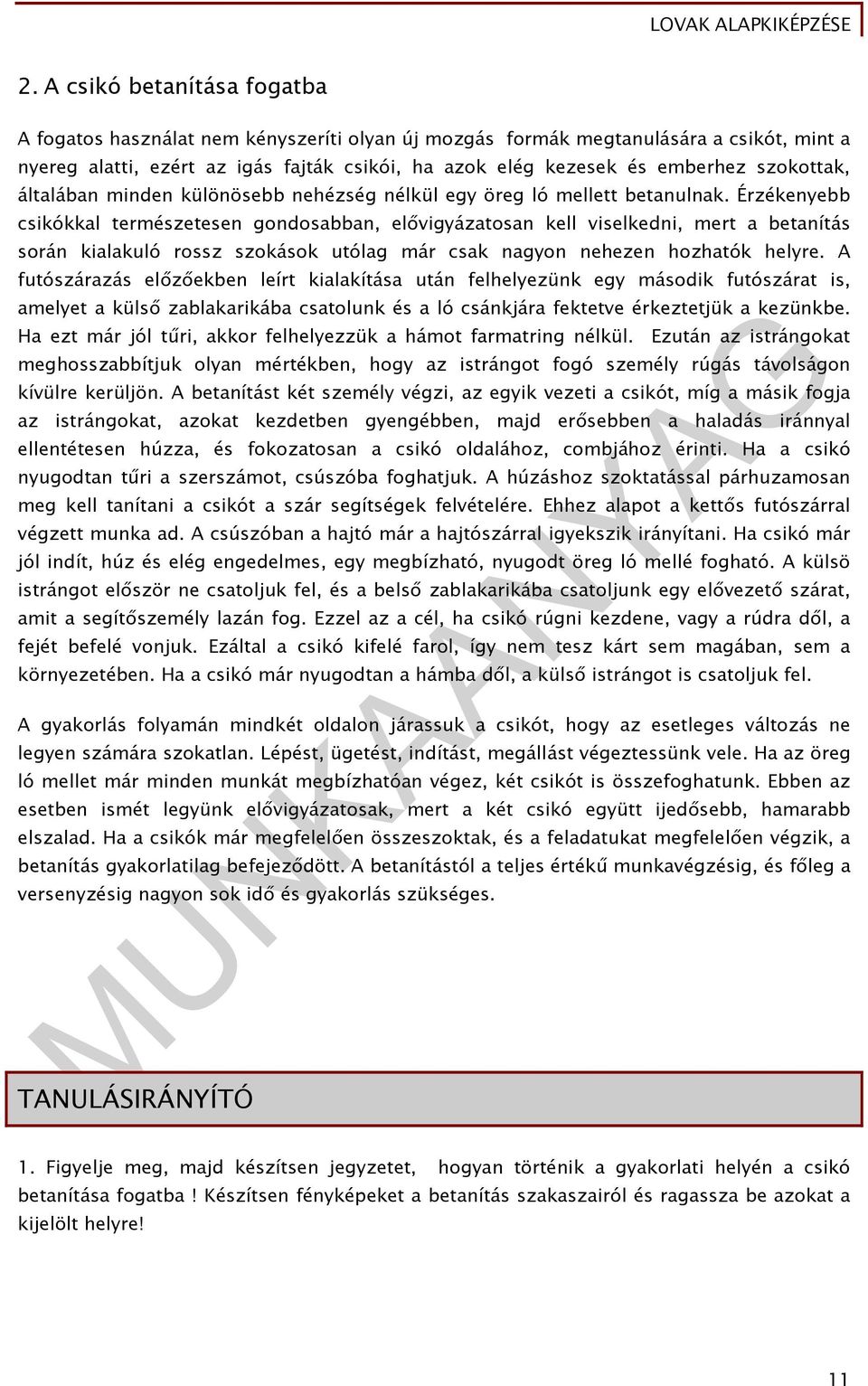 Érzékenyebb csikókkal természetesen gondosabban, elővigyázatosan kell viselkedni, mert a betanítás során kialakuló rossz szokások utólag már csak nagyon nehezen hozhatók helyre.