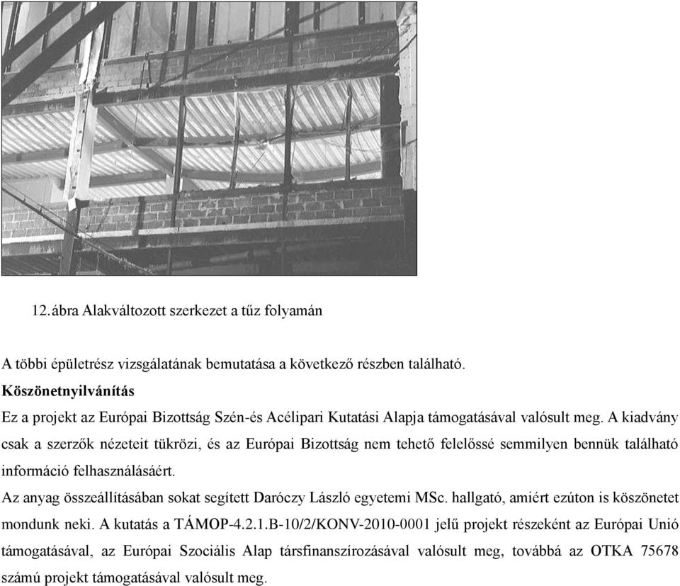 A kiadvány csak a szerzők nézeteit tükrözi, és az Európai Bizottság nem tehető felelőssé semmilyen bennük található információ felhasználásáért.