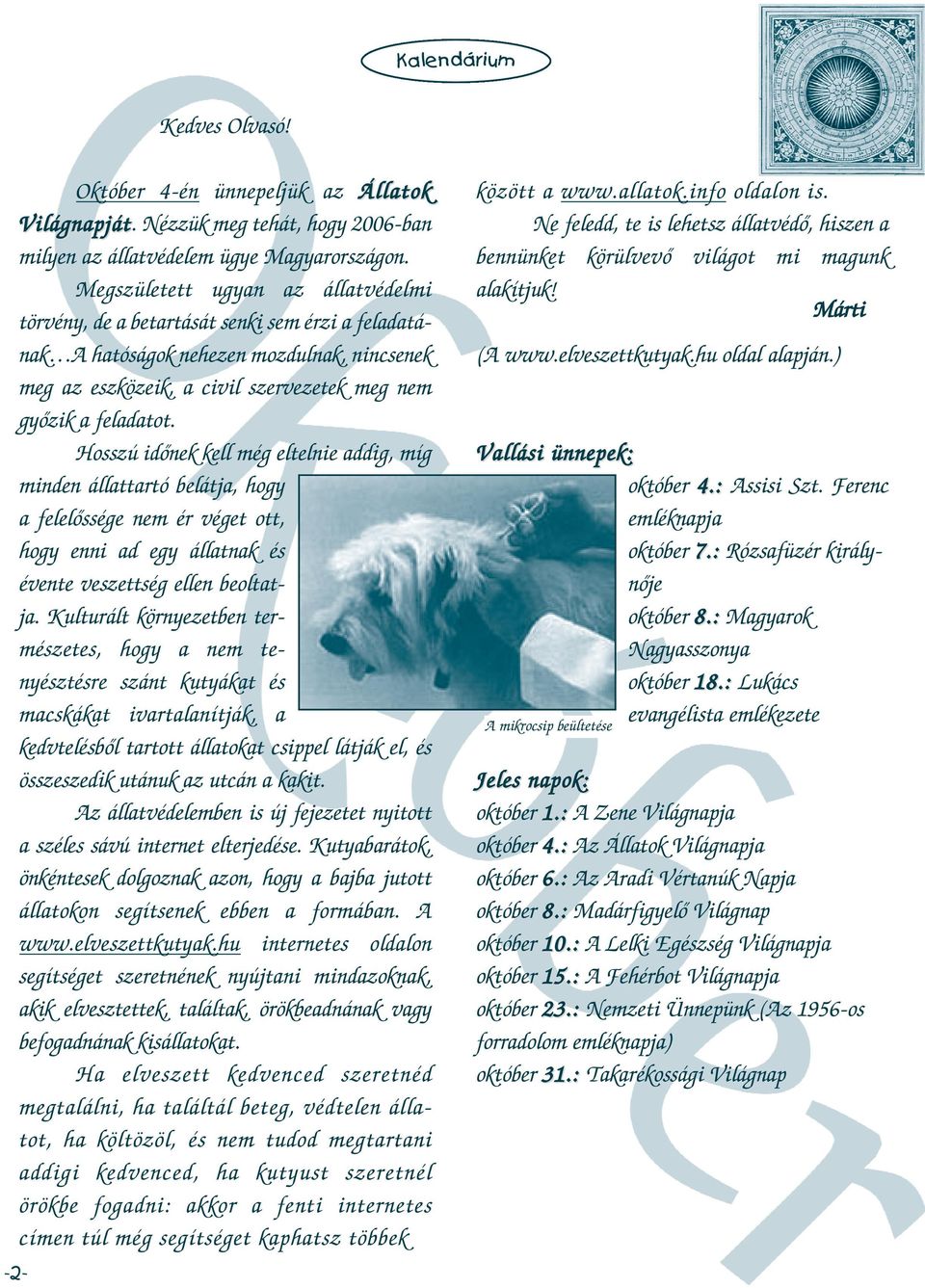 Hosszú időnek kell még eltelnie addig, míg minden állattartó belátja, hogy a felelőssége nem ér véget ott, hogy enni ad egy állatnak és évente veszettség ellen beoltatja.