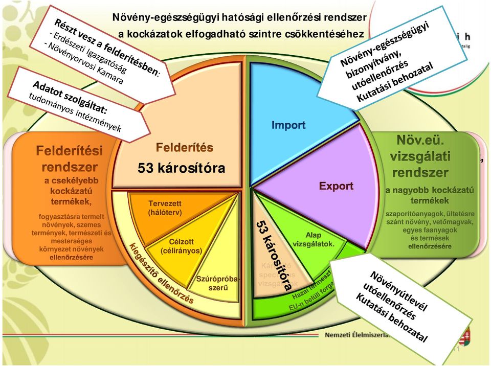 növények 53 Csekélyebb károsítóra Felderítési kockázatú rendszer Tervezett növények, (hálóterv) növényi termékek Célzott (célirányos) Növ.eü.