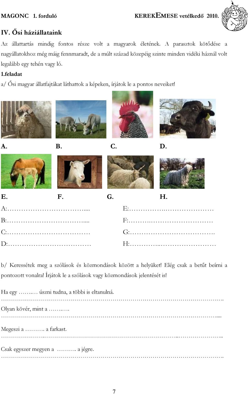 feladat a/ Ősi magyar állatfajtákat láthattok a képeken, írjátok le a pontos neveiket! A. B. C. D. E. F. G. H. A:... B:... C: D: E:. F:. G:. H:.