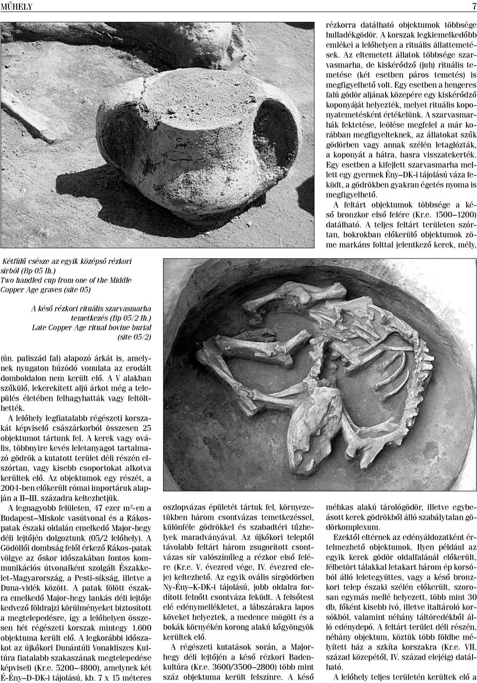 Egy esetben a hengeres falú gödör aljának közepére egy kiskérődző koponyáját helyezték, melyet rituális koponyatemetésként értékelünk.