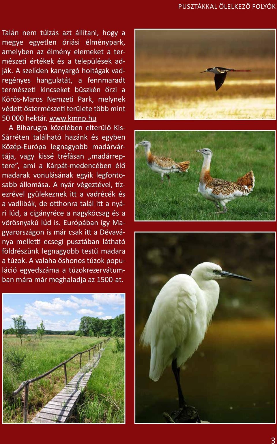 hu A Biharugra közelében elterülő Kis- Sárréten található hazánk és egyben Közép-Európa legnagyobb madárvártája, vagy kissé tréfásan madárreptere, ami a Kárpát-medencében élő madarak vonulásának